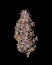 Cookies Flower : Blue Raz