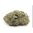 Alien Rock Candy (H/I) by Bold Cultivation **Featured Strain**