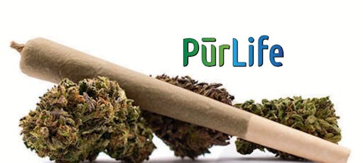 Hypothermia | Preroll