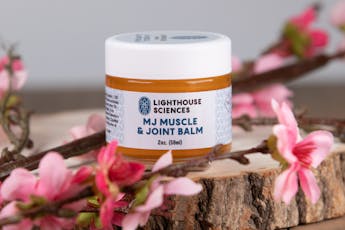 Lighthouse Sciences | MJ Muscles Salve 6:1 CBD:THC | 500mg