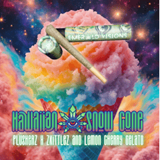 Emerald Visions | 1g Hawaiian Snow Cone Preroll