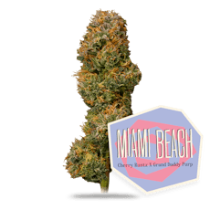 Miami Beach