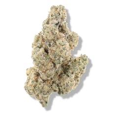 The Deli - Cap Junky