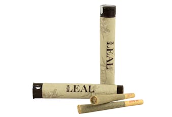 Leal | TC Dream (High CBD) | Pre-roll | 1g