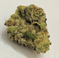 Gelato Zafari | High Supply | 14g