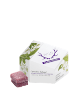 WYLD | Marionberry | 10mg Indica Gummies (10pk)