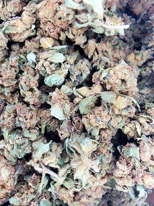 purple pantie dropper