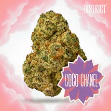 Grape Gas Gelatti 3.5G - Sativa