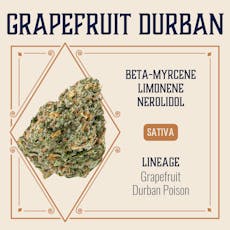 ELEVATE - PREPACK - 3.5G - GRAPEFRUIT DURBAN - SATIVA
