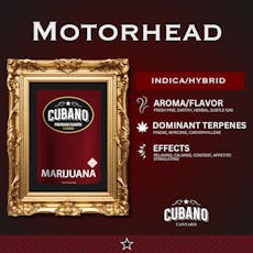 Motor Head