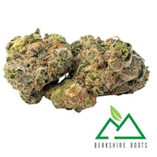 Berkshire Roots PrePack (3.5g) Ice Cream Kush
