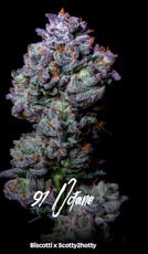 91 Octane | 3.5G | THC 25.55%