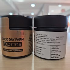 GDF Space Station 3.5g