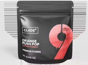 Clade 9- Orange Push Pop - Flower