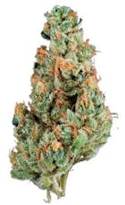 Nature's Chemistry - Diamond: Garlic Cookies (1G)