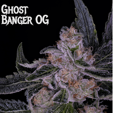 Ghost Banger OG