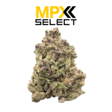 MPX Select™ Rainbow Belts 2.0 Flower