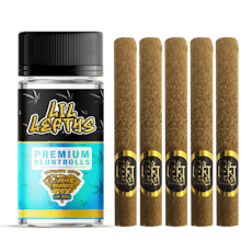 Maui Wowie | 5 pack Infused Blunts | 6.5g