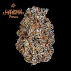 Flower 3.5g - Rotten Rozay