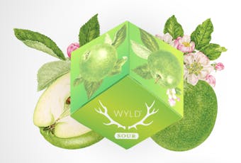 Uplifting - Active Sour Apple Gummies 100mg (10-Pack | 10mg Each)