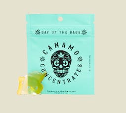 SHATTER-MARMALADE MIMOSA