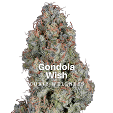 Curio Wellness: Exclusive | Gondola Wish | 3.5g