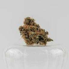 BigBuns-Flower-|IndicaDominant|JC|1g