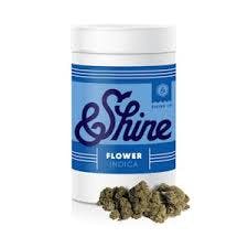 $25 Eighth | Vanilla Frosting | &Shine | 3.5g