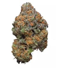 Baseline | Grape Bubblegum 7g