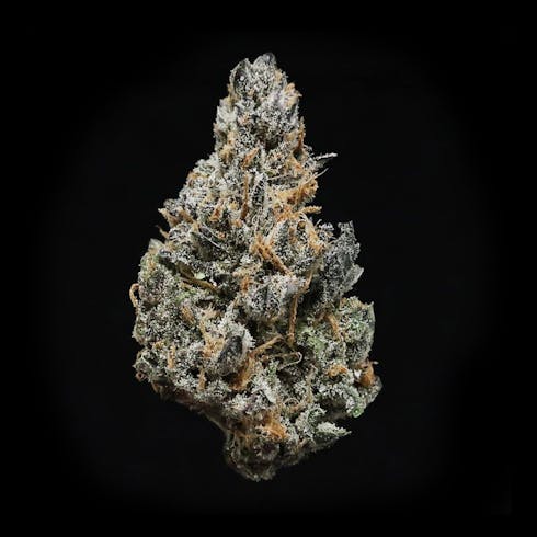 Salmon River OG - HMH