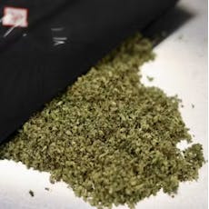 Red Berries (I-Hybrid) (Shake) - 14g