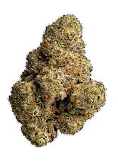 3.5g Gary Payton (TAX INCLUDED)