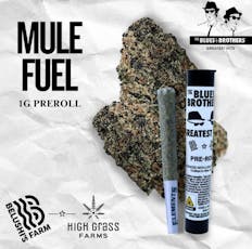 The Blues Brothers | Mule Fuel | 1g | Single Pre-roll