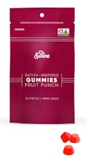 Fruit Punch | Gummies | 100mg | 10pk