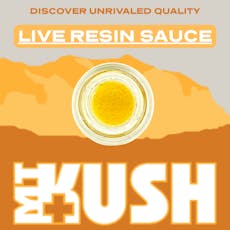 Live Resin Sauce | Orange Dutch Treat | 1g