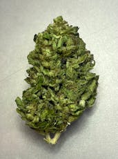 Black Cherry Lotus Flower