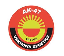 Equinox PR 56pk AK 47 28g