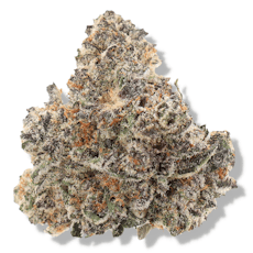 The Deli - Metaverse