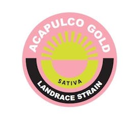 Equinox PR 56pk Acapulco Gold 28g
