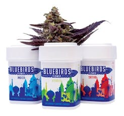 Old School Lemons Whole Flower 3.5g