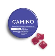Wild Berry Chill - 20pk/100mg (5mg THC each)