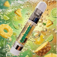 Baja Bash - 1G Vape Cartridge - Indica