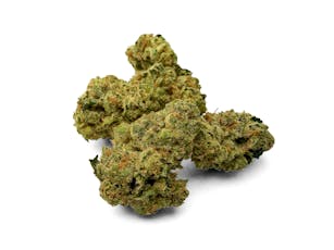 G13 Skunk - Deli Style