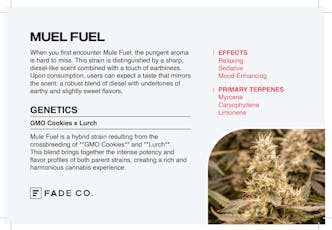 Fade Co. | Mule Fuel | 0.5g Pre Roll (2pk)