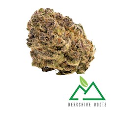 Black Sherbert Runtz | Flower | 3.5g