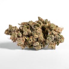 Greenlight Silver Banana Jelly Flower | 14g