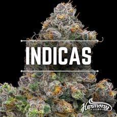 Loud Fruit 2g - Harmony Farms