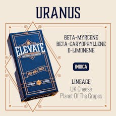 ELEVATE - PINS - PREROLL - 0.5G - 10PK - URANUS - INDICA