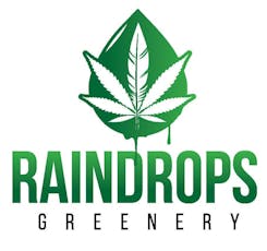 Rain Drops | Dubai Chocolate Cake | 400mg Edible