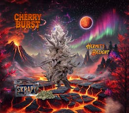 Cherry Burst - Skrapy - 28g Shake Pre-Packaged